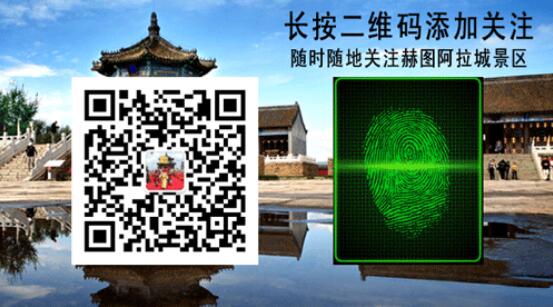 15906349478550734.jpg
